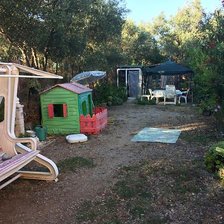 チェリアーレA Casa Di Nonna Luciana - Trilocale Con Giardinoアパートメント エクステリア 写真